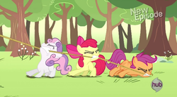 Size: 610x336 | Tagged: safe, screencap, apple bloom, scootaloo, sweetie belle, flight to the finish, g4, cutie mark crusaders, hub logo