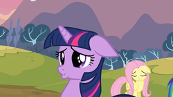 Size: 1054x591 | Tagged: safe, screencap, fluttershy, twilight sparkle, g4, hurricane fluttershy, my little pony: friendship is magic