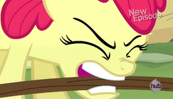 Size: 592x342 | Tagged: safe, screencap, apple bloom, earth pony, pony, flight to the finish, g4