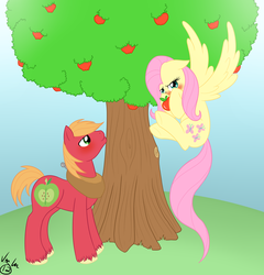 Size: 1800x1872 | Tagged: dead source, safe, artist:itsuko103, big macintosh, fluttershy, earth pony, pony, g4, apple, apple tree, blushing, duo, female, male, mare, ship:fluttermac, shipping, stallion, straight, tree