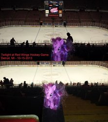 Size: 843x948 | Tagged: safe, artist:cmc-dash, twilight sparkle, pony, g4, brushable, detroit, detroit red wings, female, game, hockey, ice, irl, nhl, photo, red wings, scoreboard, seats, sports, toy