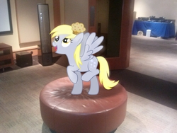 Size: 2592x1944 | Tagged: safe, artist:daydreamsyndrom, artist:tokkazutara1164, derpy hooves, pegasus, pony, g4, female, irl, mare, muffin, photo, ponies in real life, room, shadow, solo