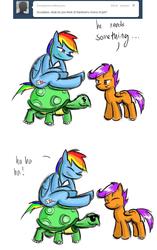 Size: 800x1274 | Tagged: safe, artist:starykrow, rainbow dash, scootaloo, tank, ask the cmc, g4, sunglasses, tumblr