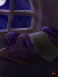 Size: 600x800 | Tagged: safe, artist:norang94, twilight sparkle, g4, female, sleeping, solo