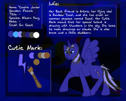 Size: 1280x1024 | Tagged: safe, artist:platynumwings, oc, oc only, alicorn, pony, alicorn oc, dashie junior, paint tool sai, photoshop, reference sheet, solo