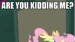 Size: 480x270 | Tagged: safe, edit, edited screencap, screencap, fluttershy, saddle rager, g4, power ponies (episode), angry, animated, female, hub logo, hubble, image macro, power ponies, reaction image, solo, the hub