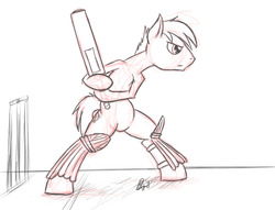 Size: 800x611 | Tagged: safe, artist:bingodingo, bat pony, earth pony, pony, bipedal, cricket, cricket bat, pun, sketch, solo, wicket