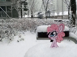 Size: 1024x768 | Tagged: safe, artist:danadyu, pinkie pie, g4, female, irl, jumped-out-pinkieanswers, paper pony, photo, solo