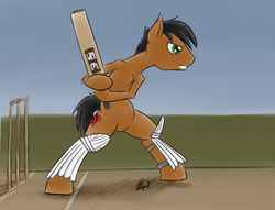 Size: 800x611 | Tagged: safe, artist:bingodingo, oc, oc only, bat pony, earth pony, pony, cricket, cricket bat, pun, solo, wicket