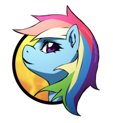 Size: 566x613 | Tagged: safe, artist:drmarbles, rainbow dash, g4, female, portrait, solo