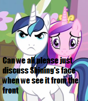 Size: 176x202 | Tagged: safe, shining armor, g4, image macro, impact, impact font, text, wat