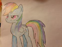 Size: 2448x1836 | Tagged: safe, rainbow dash, g4, female, solo