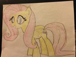 Size: 2448x1836 | Tagged: safe, fluttershy, g4, female, solo