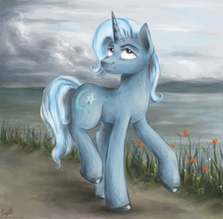 Size: 5000x4900 | Tagged: safe, artist:pponyoo, trixie, pony, unicorn, g4, absurd resolution, female, hooves, mare, solo, unshorn fetlocks