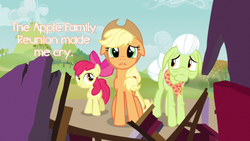 Size: 500x281 | Tagged: safe, apple bloom, applejack, granny smith, apple family reunion, g4, pony confession, pony confessions, tumblr