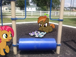 Size: 2592x1944 | Tagged: safe, artist:90sigma, artist:andrewstillnight, artist:killagouge, artist:tokkazutara1164, babs seed, button mash, earth pony, g4, checkers, colt, female, fence, filly, foal, hat, horseshoes, houses, irl, male, photo, playground, ponies in real life, propeller hat, tree, vector