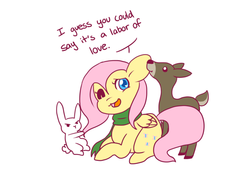 Size: 808x600 | Tagged: safe, artist:milkwolf, angel bunny, fluttershy, g4, animal, ask, ask-friendlyshy, cute, dialogue, ear bite, nom, open mouth, prone, simple background, smiling, wink