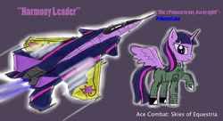 Size: 2650x1440 | Tagged: dead source, safe, artist:pak-faace1234, twilight sparkle, alicorn, pony, g4, ace combat, f-15 eagle, female, jet, mare, twilight sparkle (alicorn)