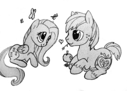 Size: 604x433 | Tagged: safe, big macintosh, fluttershy, butterfly, earth pony, pegasus, pony, g4, apple, female, food, looking at each other, male, mare, monochrome, ship:fluttermac, shipping, simple background, stallion, straight, white background