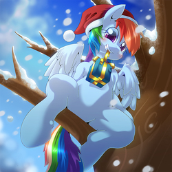 Size: 900x900 | Tagged: safe, artist:oze, rainbow dash, pegasus, pony, belly, blushing, christmas, cute, dashabetes, featureless crotch, female, hat, looking at you, mare, present, santa hat, smiling, snow, snowfall, solo, tree, winter