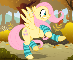 Size: 788x650 | Tagged: safe, artist:brianblackberry, fluttershy, g4, clothes, female, leg warmers, socks, solo, striped socks