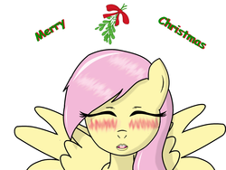 Size: 1600x1200 | Tagged: safe, artist:fluttershy-wins, fluttershy, g4, blushing, christmas, female, kissing, mistletoe, solo