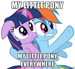 Size: 500x455 | Tagged: safe, rainbow dash, twilight sparkle, g4, captain obvious, exploitable meme, meme, memegenerator, x x everywhere