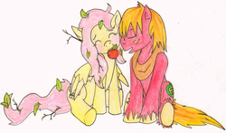 Size: 1502x884 | Tagged: safe, artist:mlp-hatersgonnahate, big macintosh, fluttershy, earth pony, pony, g4, apple, leaves, male, messy mane, mouth hold, ship:fluttermac, shipping, stallion, straight, traditional art