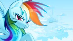 Size: 1920x1080 | Tagged: safe, artist:itchykitchy, artist:karl97, artist:proenix, rainbow dash, pegasus, pony, g4, cloudsdale, ear fluff, female, lidded eyes, solo, vector, wallpaper