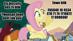 Size: 600x338 | Tagged: safe, edit, edited screencap, screencap, dust devil, fluttershy, spring skies, warm front, pegasus, pony, g4, hurricane fluttershy, biscuits, failcode, female, gibberish, goggles, grin, image macro, linguini-ist required, mare, meme, numbers, smiling, solo focus, text, waving