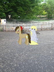 Size: 720x960 | Tagged: safe, derpy hooves, doctor whooves, time turner, pegasus, pony, g4, blushing, female, fence, fez, hat, irl, male, mare, photo, ponies in real life, ponified, ship:doctorderpy, shipping, slenderpony, straight, tree