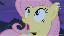 Size: 1280x720 | Tagged: safe, screencap, fluttershy, bats!, g4, season 4, drool, female, hub logo, out of context, solo, youtube link