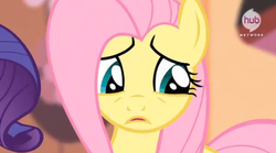 Size: 597x333 | Tagged: safe, screencap, fluttershy, bats!, g4, my little pony: friendship is magic