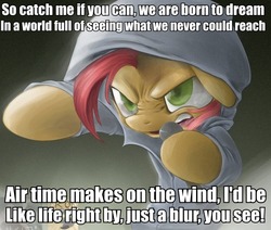 Size: 612x520 | Tagged: safe, babs seed, earth pony, pony, g4, babs the rapper, catch me if you can, clothes, crossover, exploitable meme, female, filly, hoodie, image macro, lyrics, meme, nose wrinkle, solo, sonic riders, sonic the hedgehog (series)