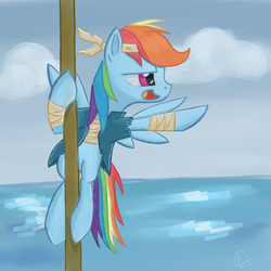 Size: 2048x2048 | Tagged: safe, artist:chaosmalefic, rainbow dash, g4, female, pirate, solo