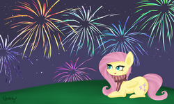 Size: 5000x3000 | Tagged: safe, artist:verminshy, fluttershy, g4, female, fireworks, high res, night, scarf, solo