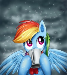 Size: 900x1006 | Tagged: dead source, safe, artist:xioade, rainbow dash, pegasus, pony, g4, clothes, cup, cute, dashabetes, drink, drinking, female, hot chocolate, mare, mug, scarf, snow, snowfall, solo, winter