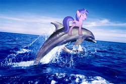Size: 1600x1063 | Tagged: safe, sea swirl, seafoam, dolphin, g4, eyes closed, irl, ocean, photo, ponies in real life, riding, smiling