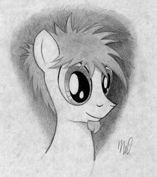 Size: 1024x1154 | Tagged: safe, artist:drawponies, oc, oc only, fanart, newsworthy, sketch, solo