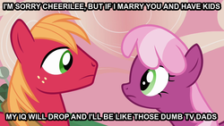 Size: 800x450 | Tagged: safe, edit, edited screencap, screencap, big macintosh, cheerilee, earth pony, pony, g4, hearts and hooves day (episode), duo, hearts and hooves day, image macro, male, stallion