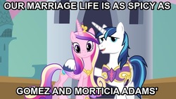 Size: 768x432 | Tagged: safe, edit, edited screencap, screencap, queen chrysalis, shining armor, a canterlot wedding, g4, cropped, fake cadance, gomez addams, image macro, morticia addams, the addams family