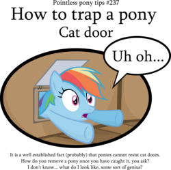 Size: 3792x3783 | Tagged: dead source, safe, artist:jittery-the-dragon, rainbow dash, pony, g4, behaving like a cat, catflap, cute, dashabetes, door, female, fine print, frown, high res, how to confuse a pony, mare, open mouth, pointless pony tips, rainbow cat, simple background, solo, speech bubble, stuck, transparent background, trapped, underhoof, wide eyes