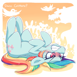 Size: 1280x1280 | Tagged: dead source, safe, artist:jopiter, rainbow dash, pegasus, pony, g4, magical mystery cure, angry, animal, blushing, female, folded wings, gritted teeth, lying down, mare, on back, solo, swapped cutie marks, teeth, wings