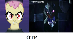 Size: 1344x834 | Tagged: safe, fluttershy, bat pony, pony, vampire, bats!, g4, my little pony: friendship is magic, beast hunters, breakdown, exploitable meme, flutterbat, meme, otp, race swap, terrorcon, transformers, transformers prime