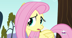 Size: 1152x608 | Tagged: safe, screencap, fluttershy, bats!, g4, female, meme, solo, youtube caption