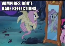 Size: 543x385 | Tagged: safe, fluttershy, bat pony, pony, vampire, bats!, g4, background pony strikes again, flutterbat, image macro, meme, mirror, race swap, reflection, text