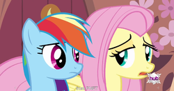 Size: 1152x608 | Tagged: safe, screencap, fluttershy, rainbow dash, bats!, g4, meme, youtube caption