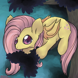 Size: 1024x1024 | Tagged: safe, artist:chiweee, fluttershy, bat pony, pony, bats!, g4, cute, ear fluff, female, flutterbat, race swap, shyabates, shyabetes, solo