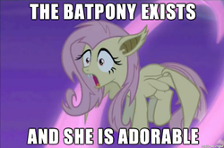 Size: 610x402 | Tagged: safe, edit, edited screencap, screencap, fluttershy, bat pony, pony, bats!, g4, caption, cute, female, flutterbat, image macro, mare, race swap, shyabetes, solo, text