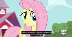 Size: 1600x830 | Tagged: safe, screencap, fluttershy, bats!, g4, female, meme, peter graham, solo, youtube caption